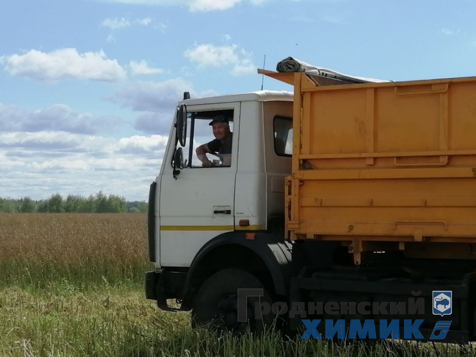 photo_2022-08-03_12-29-01 (2).jpg